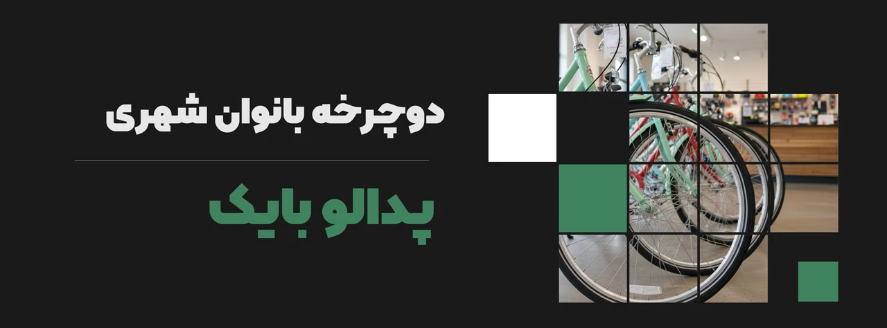 دوچرخه بانوان شهری