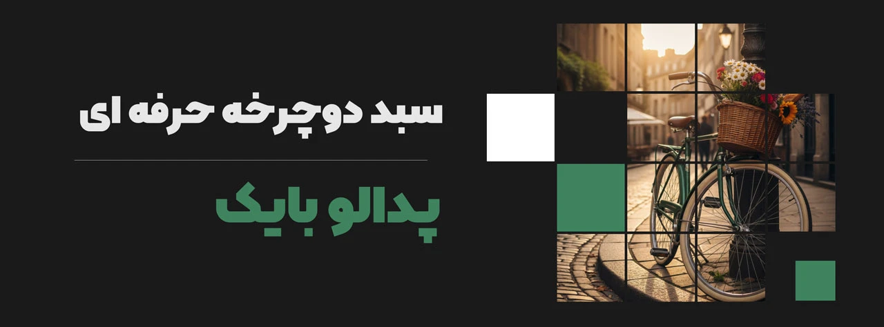 سبد دوچرخه حرفه ای